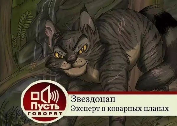 Коты Воители Бич и Звездоцап