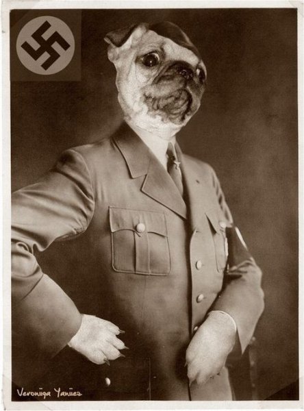 Собака гитлер