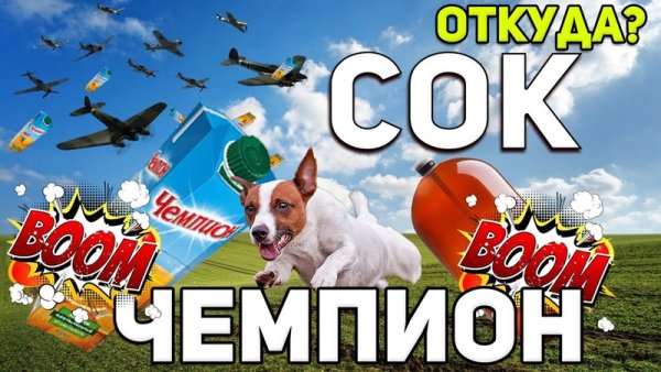 Сок чемпион Мем обои