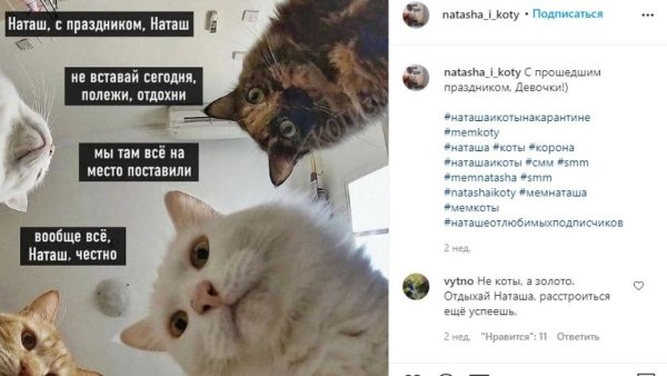 Мемы с котами и Наташей