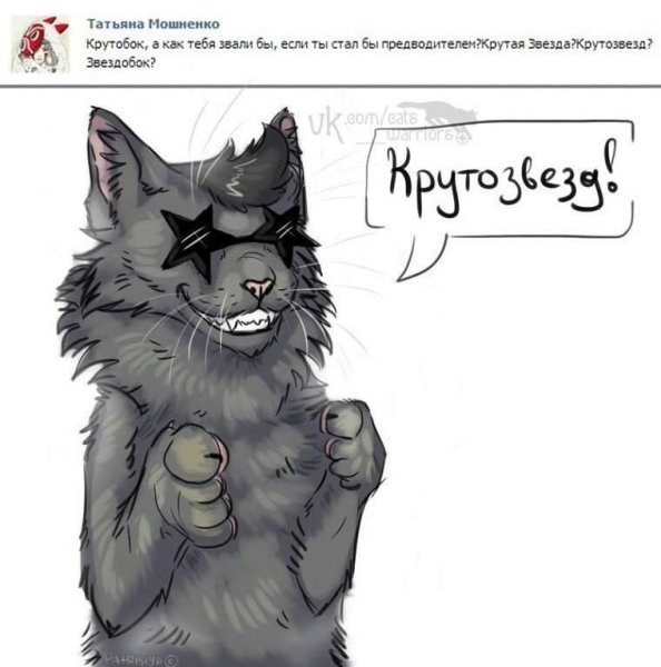 Смешные коты Воители