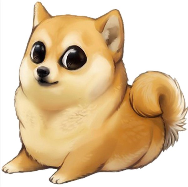 Doge собака