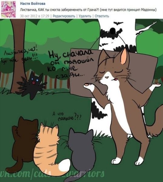 Коты Воители приколы