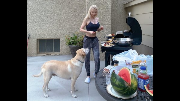 Собака веган