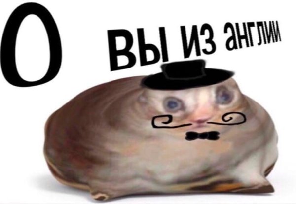 О вы из Англии Мем