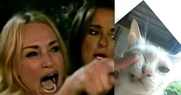 Женщина орет на кота