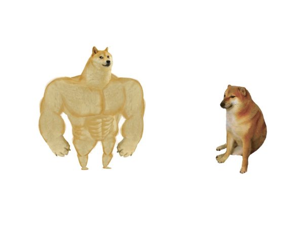 Мем собаки раньше собаки сейчас