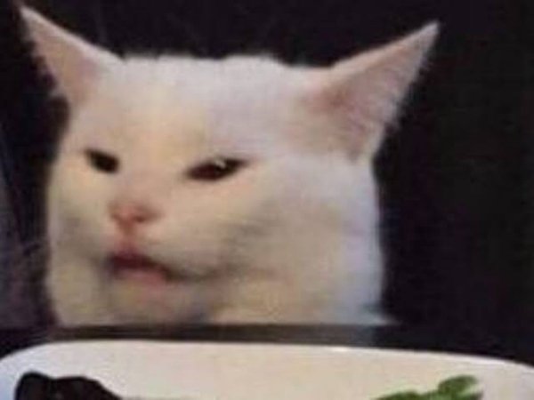 Мем с котом за столом