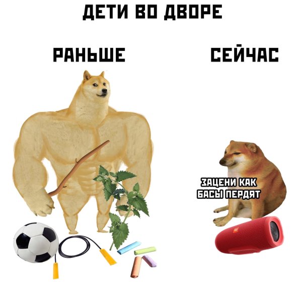 Мемы с накаченной собакой