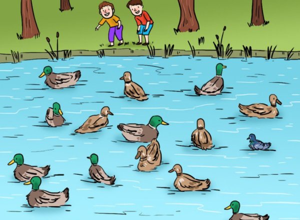 Найдите утку на картинке