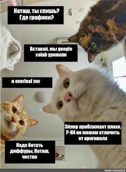 Кот Мем