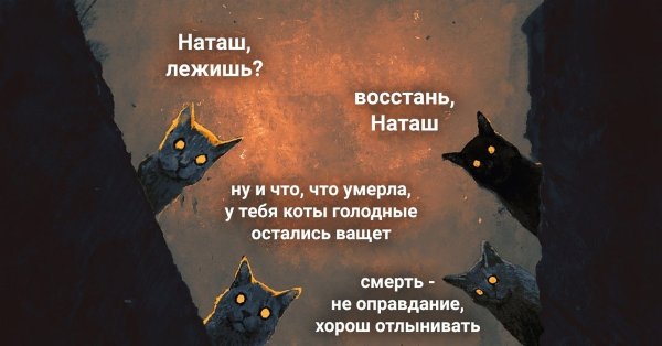 Мемы с котами и Наташей