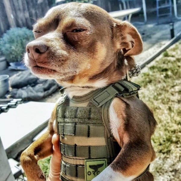 Найдешь маску в кармане поправляя бронежилет