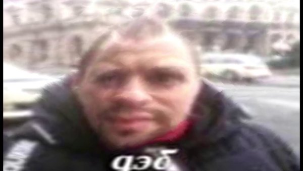 Собака жмых