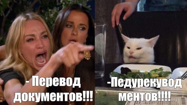Мем две женщины орут на кота