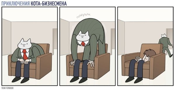 Деловой кот комикс