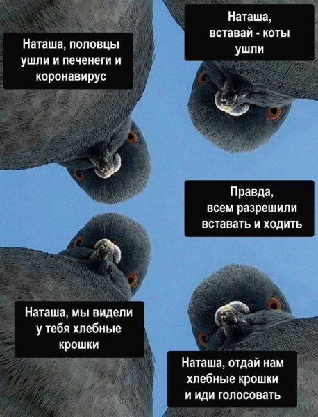 Наташа вставай