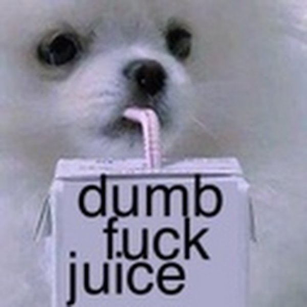 Собачка пьет сок