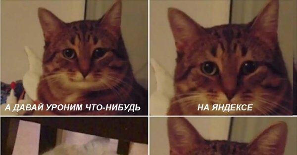 Давай Наташу уроним