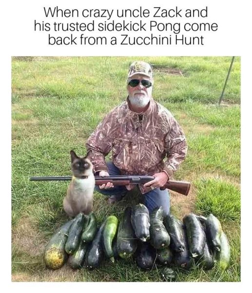 Окота на кабачки