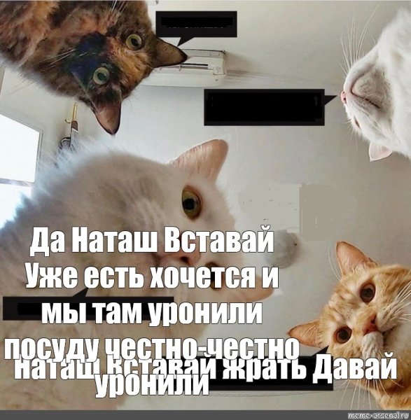 Нагаш вставай