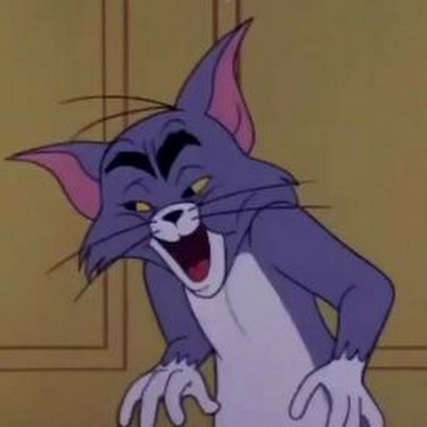 Кот том из том и Джерри Мем