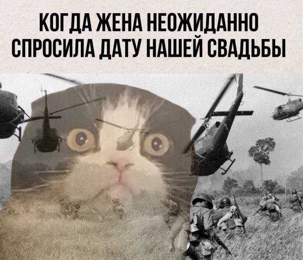 Флешбеки из Вьетнама