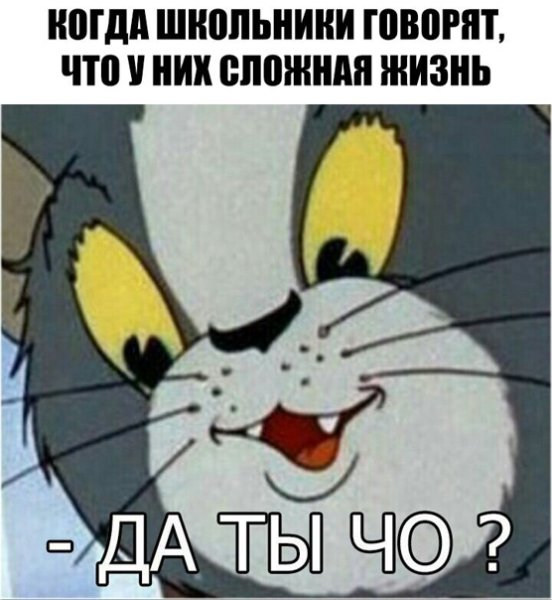 Кот том Мем