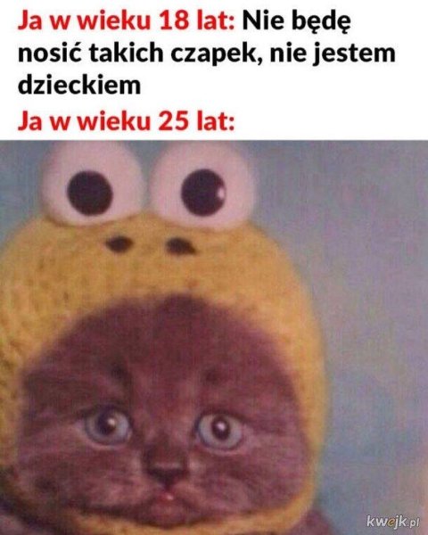 Кот в шапке