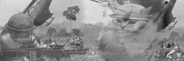 Кот и вьетнамские флэшбэки