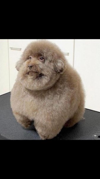 Смешные картинки