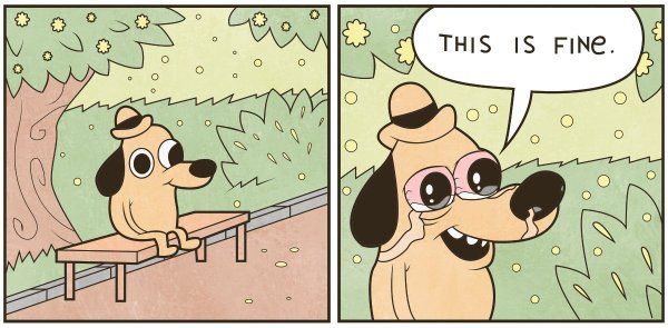 Мемы собака this is Fine