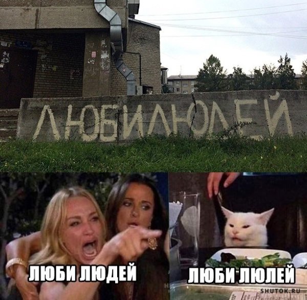 Девушки орут на кота