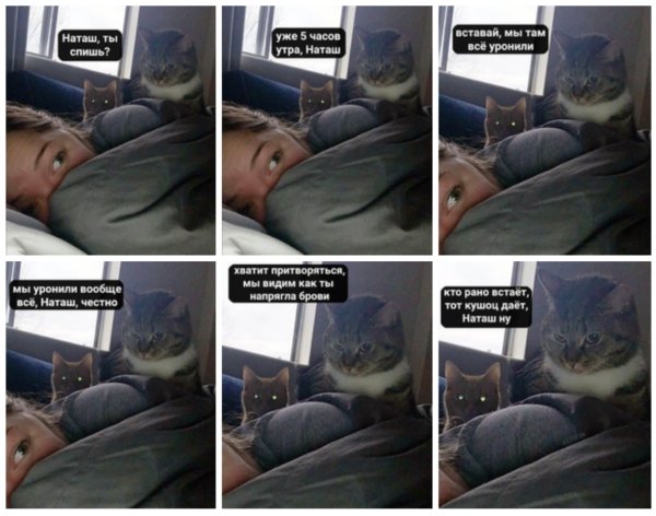 Мемы про Наташу