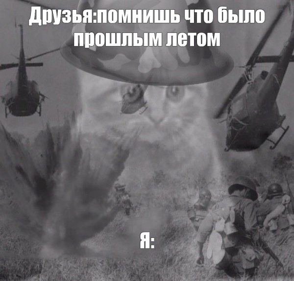 Кот флешбеки Вьетнам