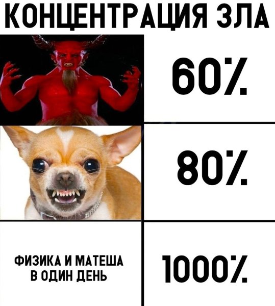 Мемы с чихуа Хуа