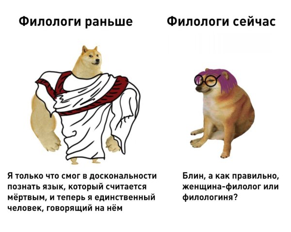 Doge качок