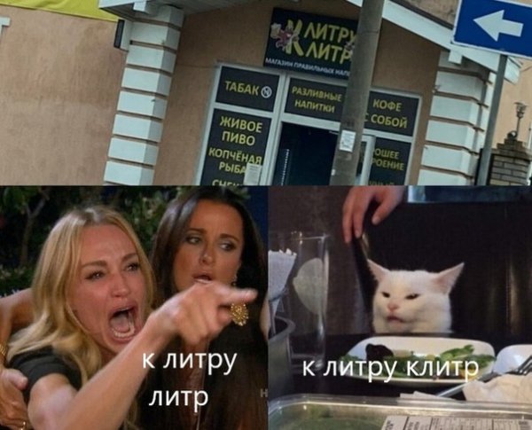 Женщина орет на кота