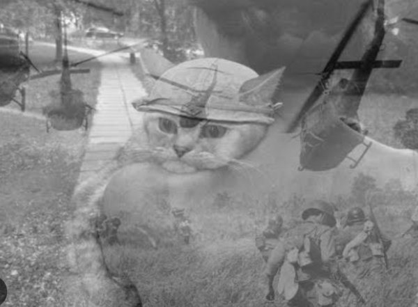 Флэшбэк Вьетнам