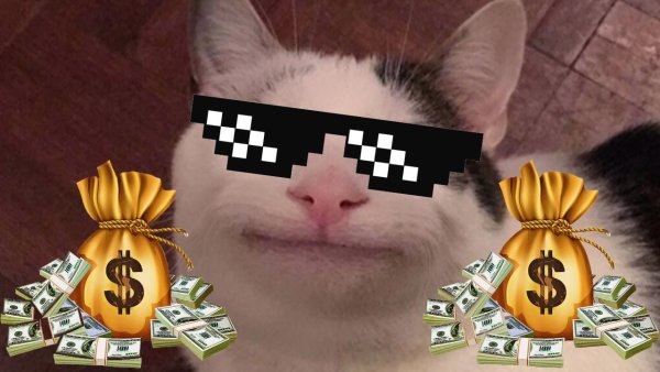 Богатый кот