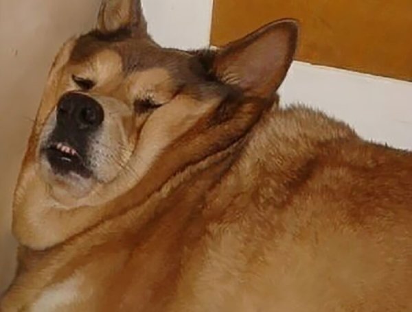 Когда отец зовет копать редис