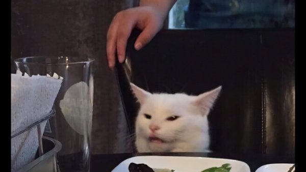 Мем с котом за столом