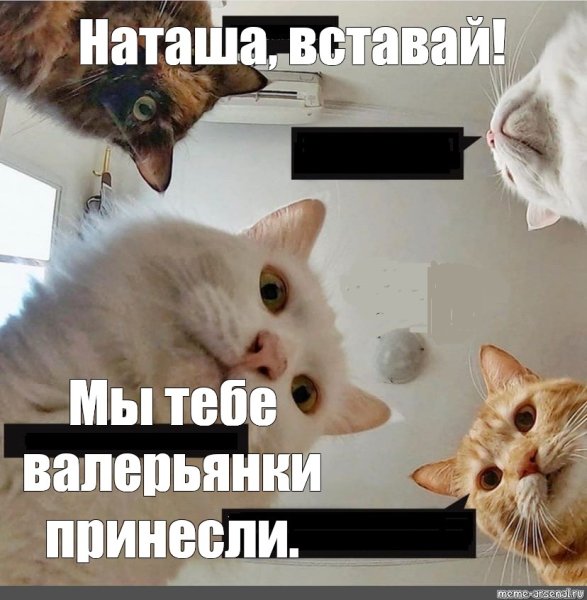 Наташ Наташ вставай