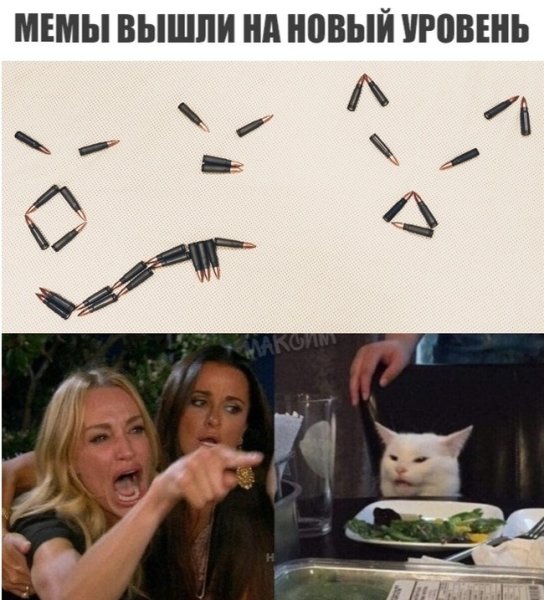 Мем кот и женщина кричит