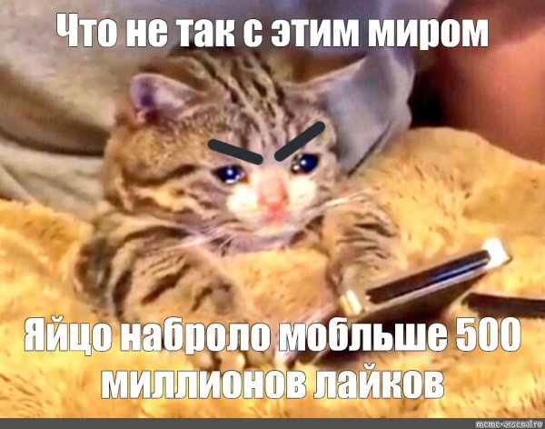Кот с телефоном Мем