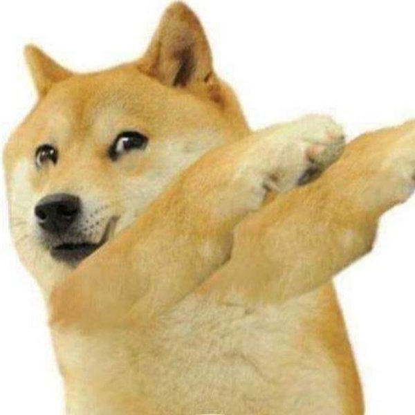Doge собака