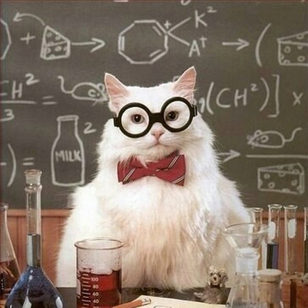 Кот Химик