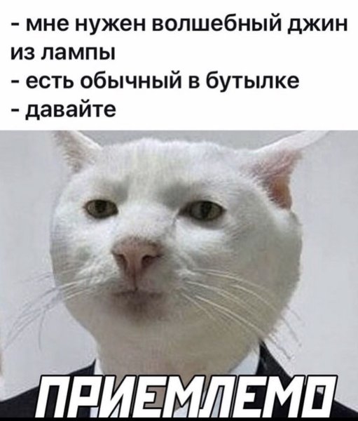 Мемы с котиками