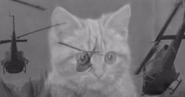 Джонни флешбеки