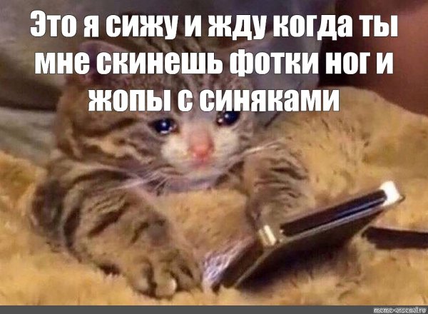Плачищуй Коттс телефоном